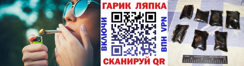 ГАШ Premium  Нижний Новгород 