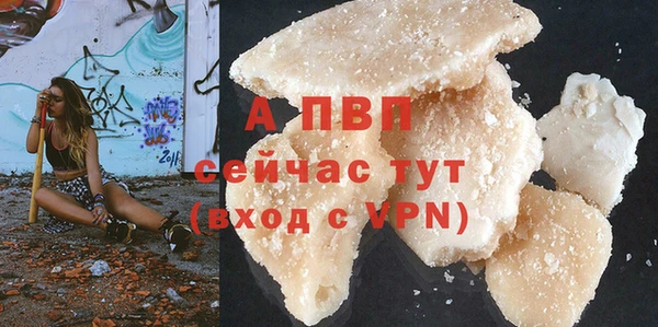 молекула духа Новосибирск