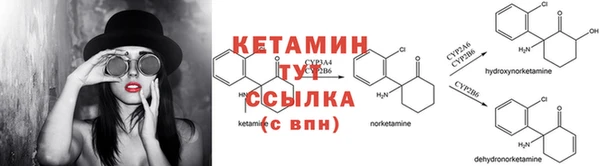 PSILOCYBIN Ессентукская