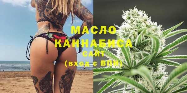 молекула духа Новосибирск