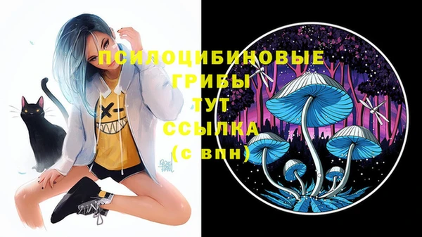 PSILOCYBIN Ессентукская