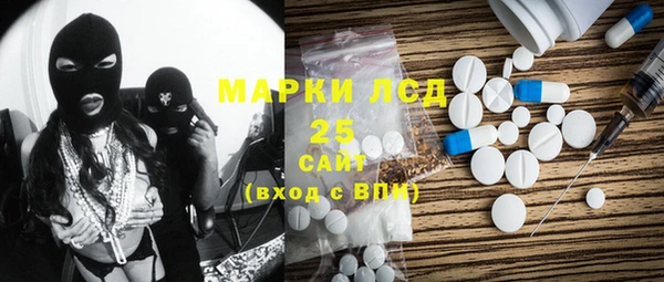 PSILOCYBIN Ессентукская