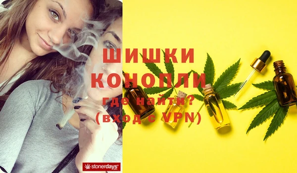 PSILOCYBIN Ессентукская