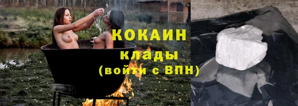 молекула духа Новосибирск
