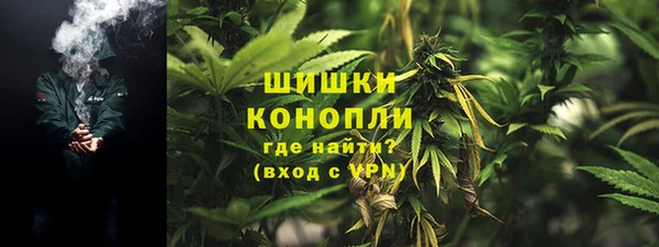 PSILOCYBIN Ессентукская
