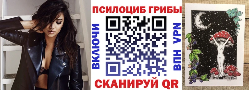 Галлюциногенные грибы Psilocybe  Нижний Новгород 