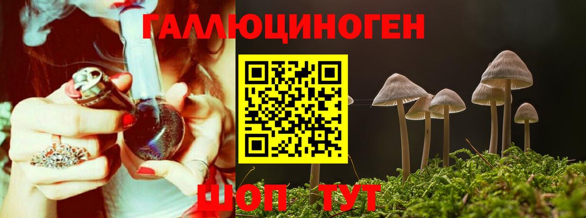 Галлюциногенные грибы прущие грибы Россия