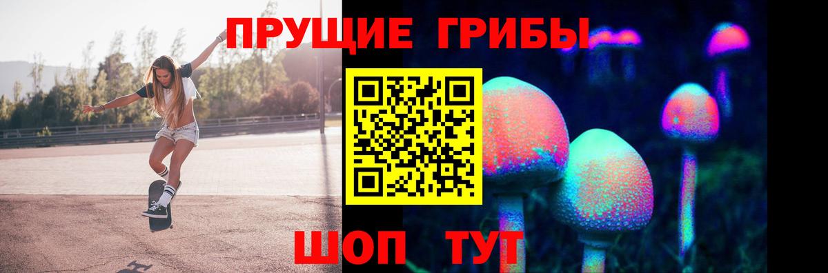 Псилоцибиновые грибы Psilocybe Россия